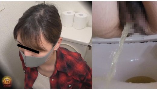 洋式トイレ盗撮 女の素顔放屁放尿